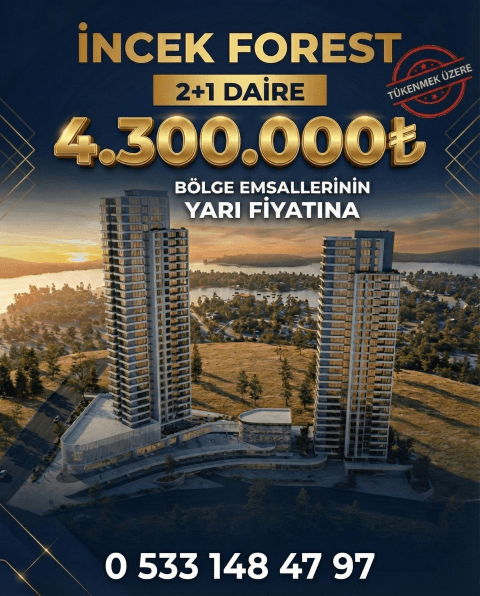 Namık Kemal Softa Portföy Galeri Görseli gallery-1