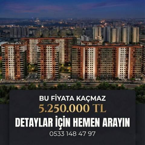 Namık Kemal Softa Portföy Galeri Görseli gallery-21